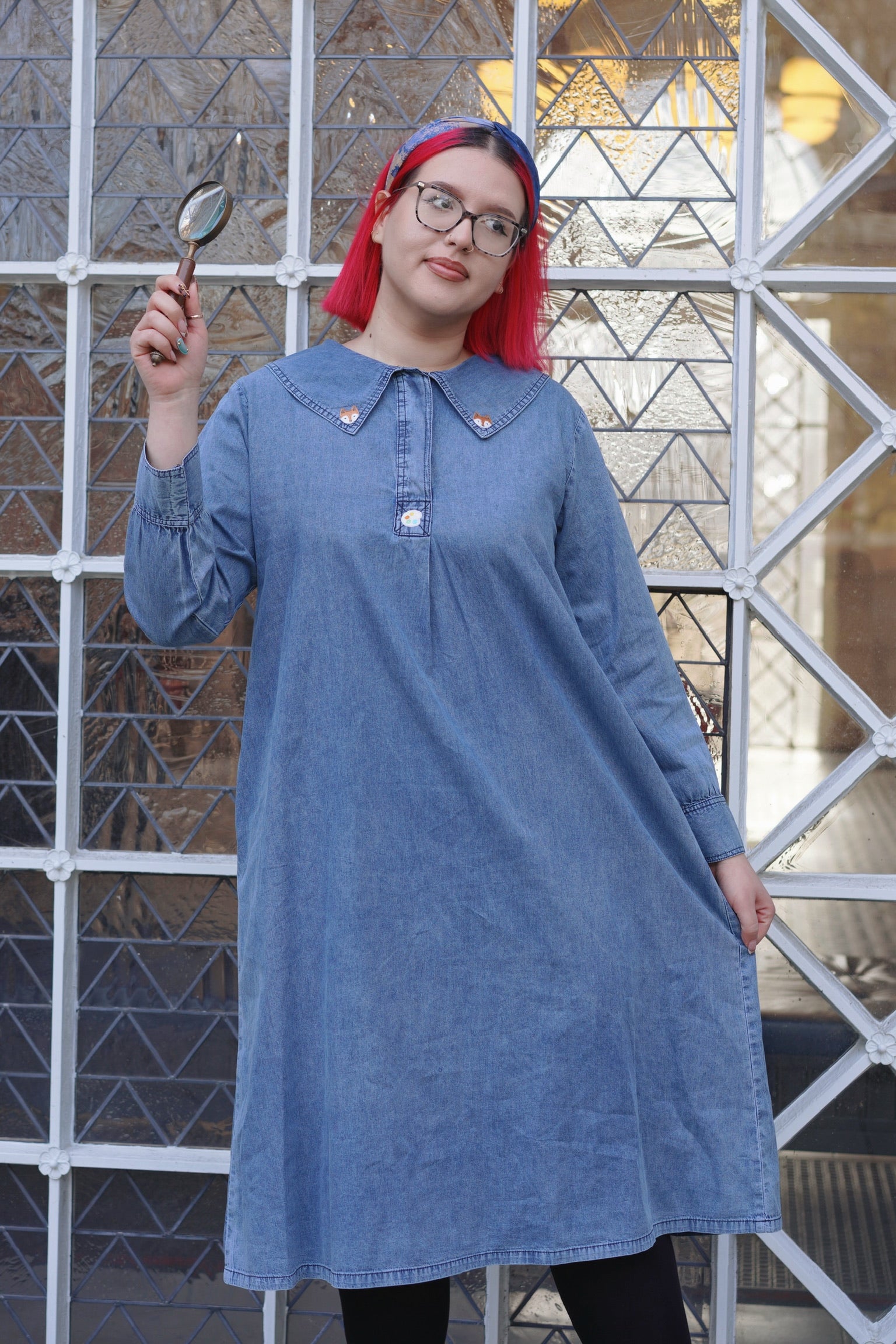 Artist Fox Denim Dress