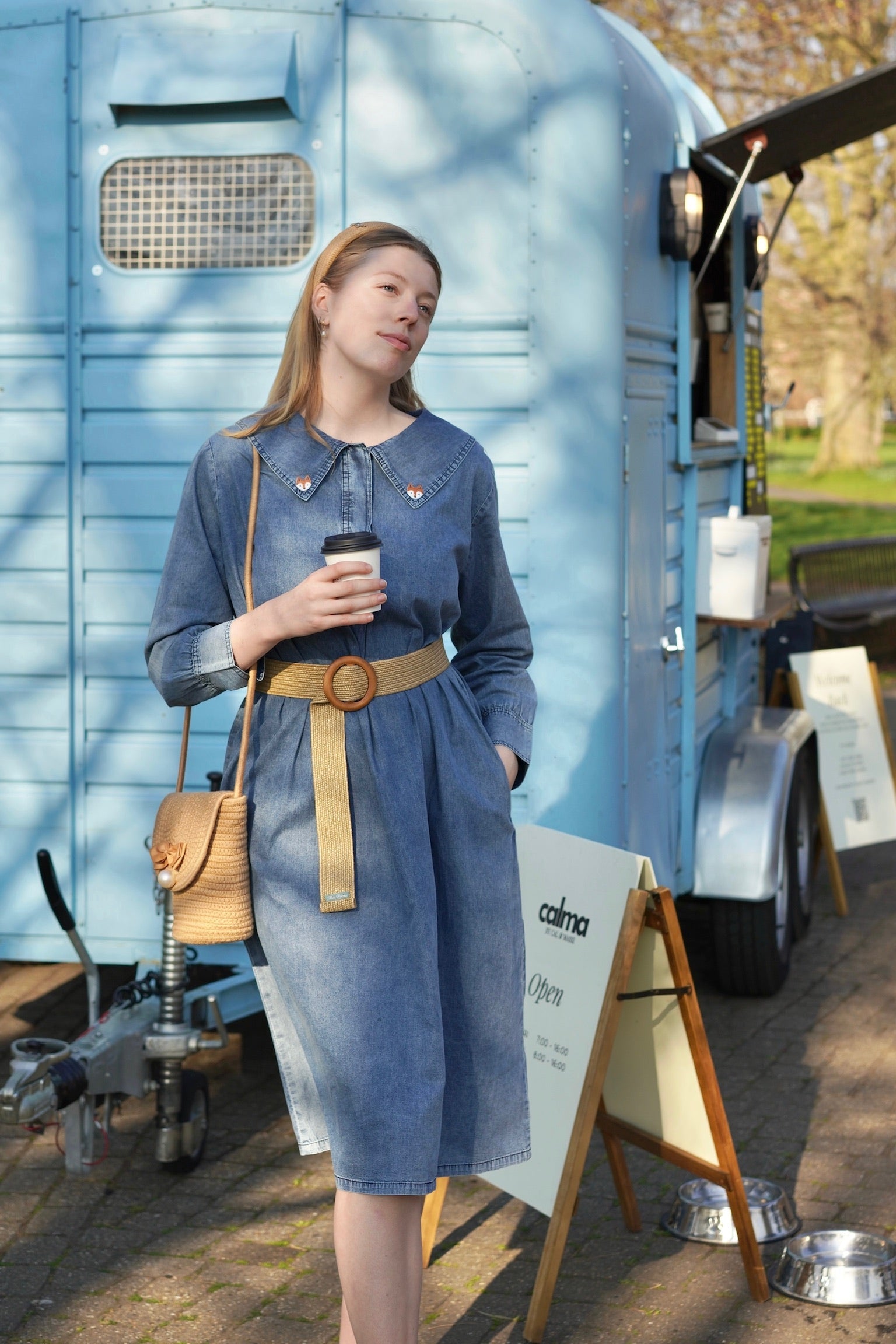 Artist Fox Denim Dress