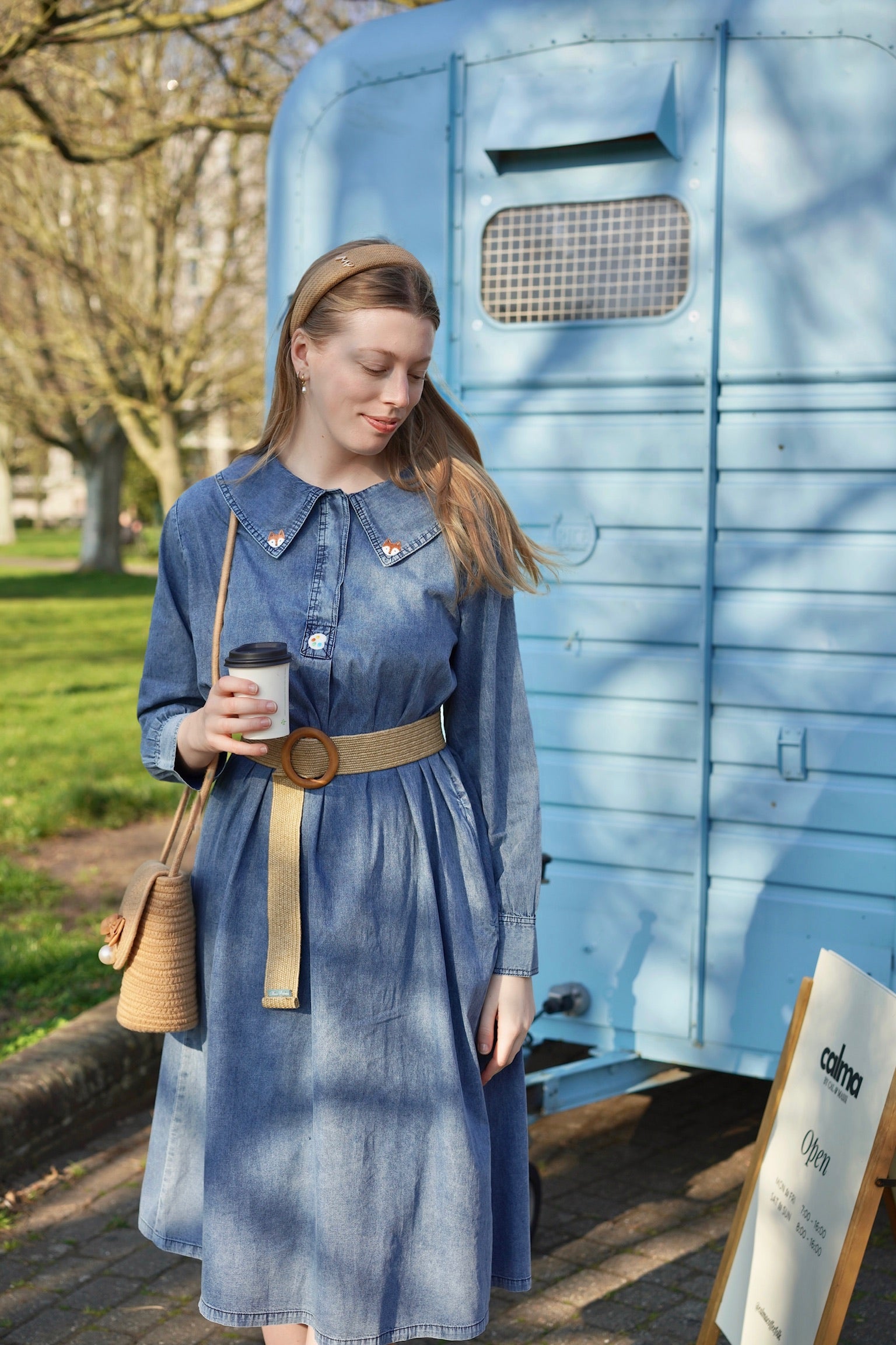 Artist Fox Denim Dress