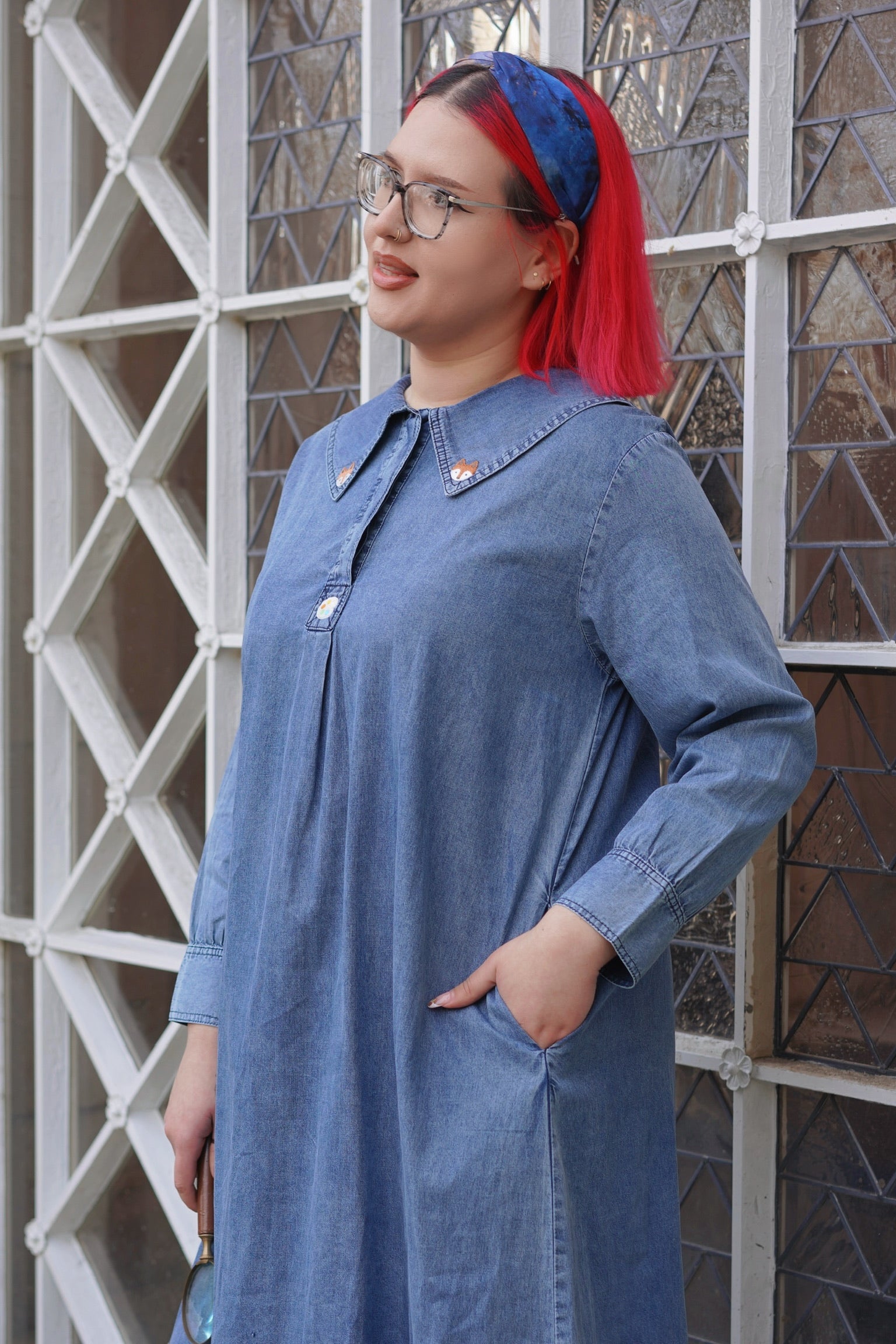Artist Fox Denim Dress