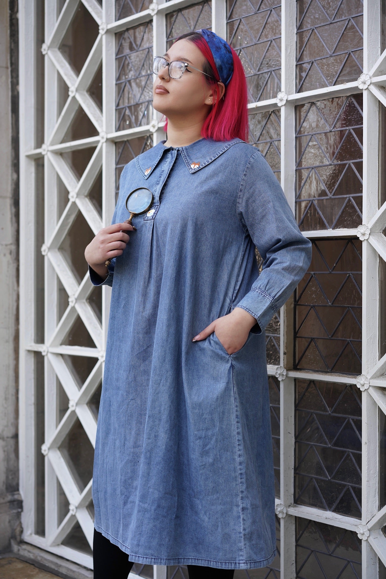Artist Fox Denim Dress – Miss Patina