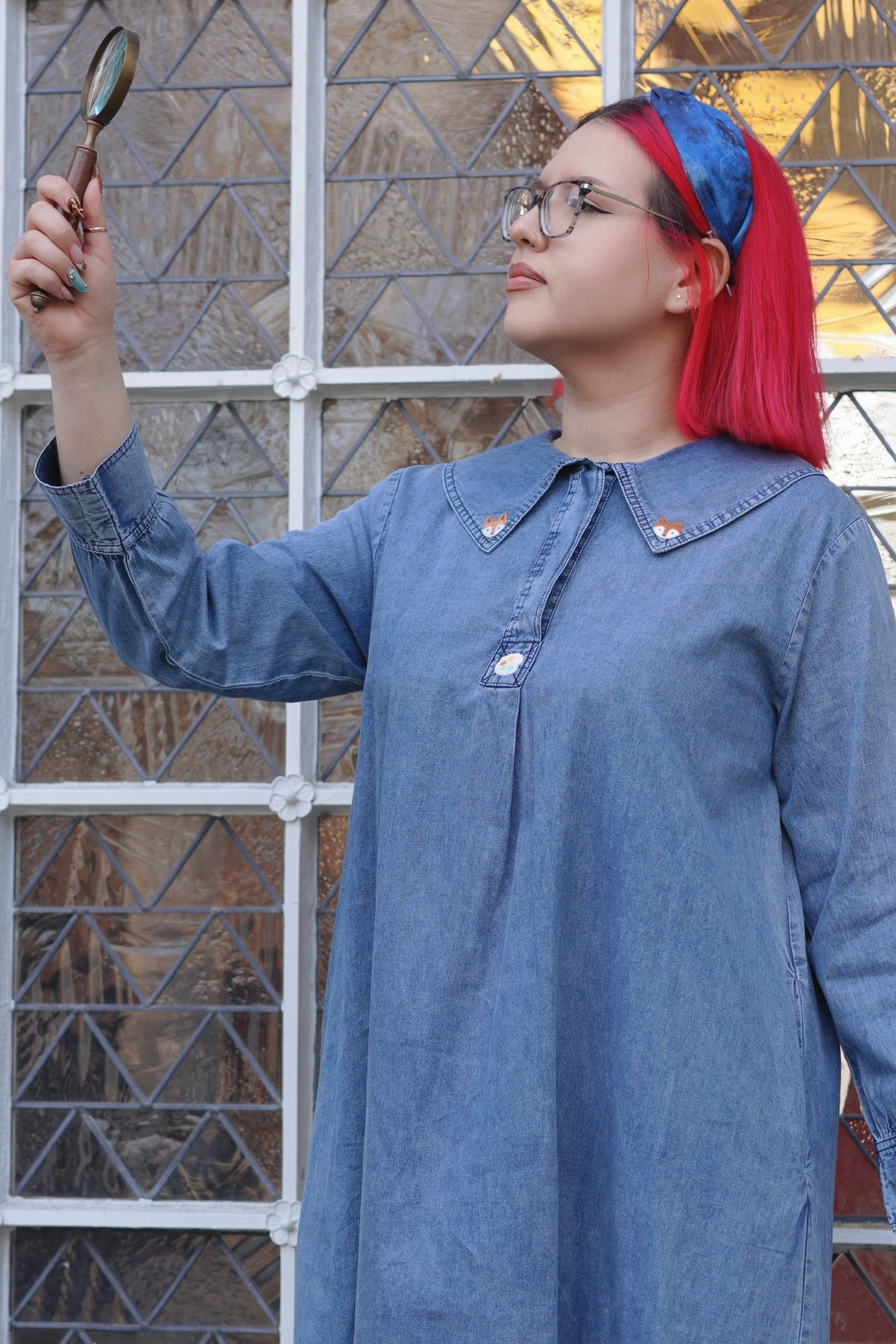 Artist Fox Denim Dress