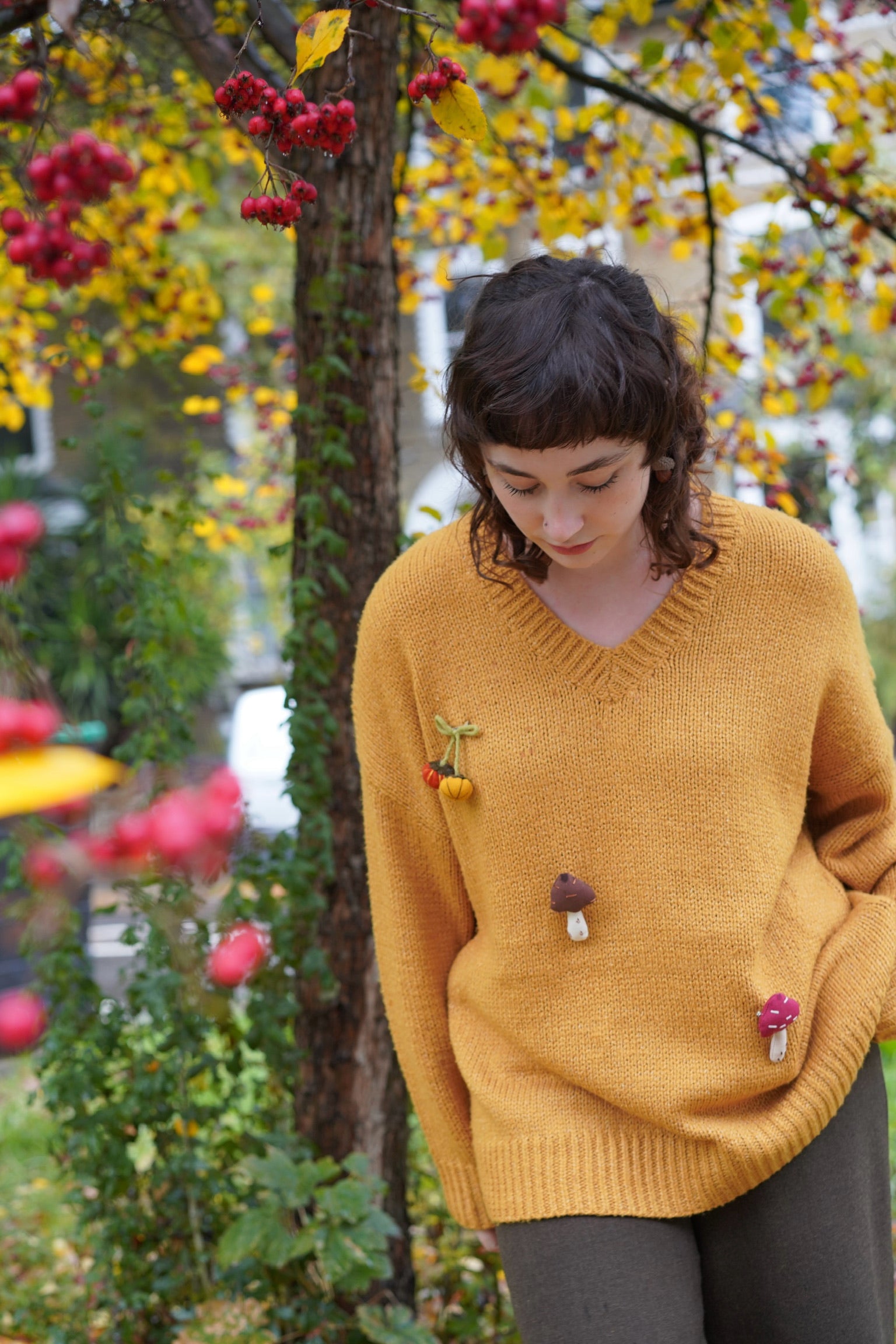 Chestnut Hill Jumper