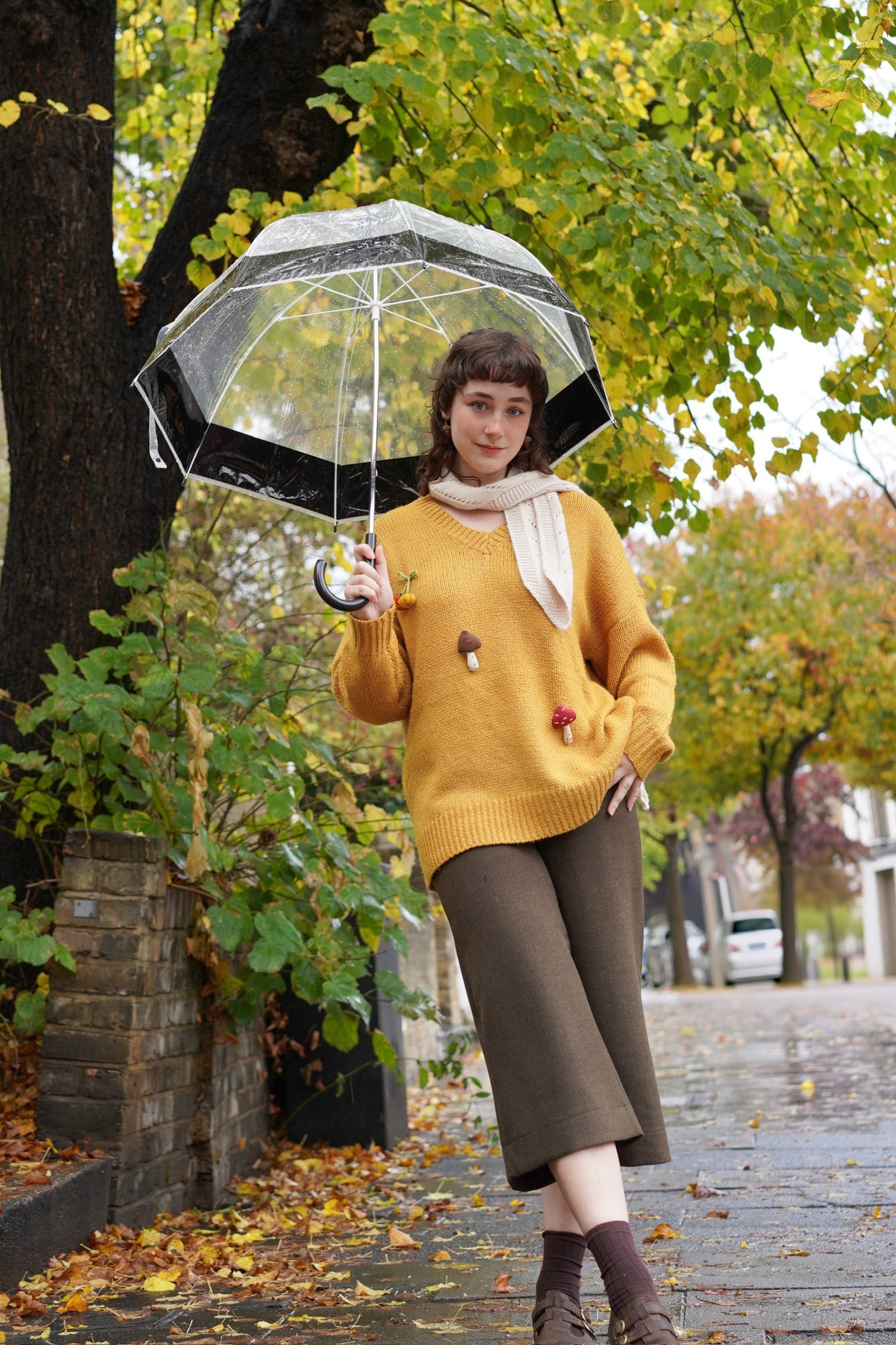 Chestnut Hill Jumper