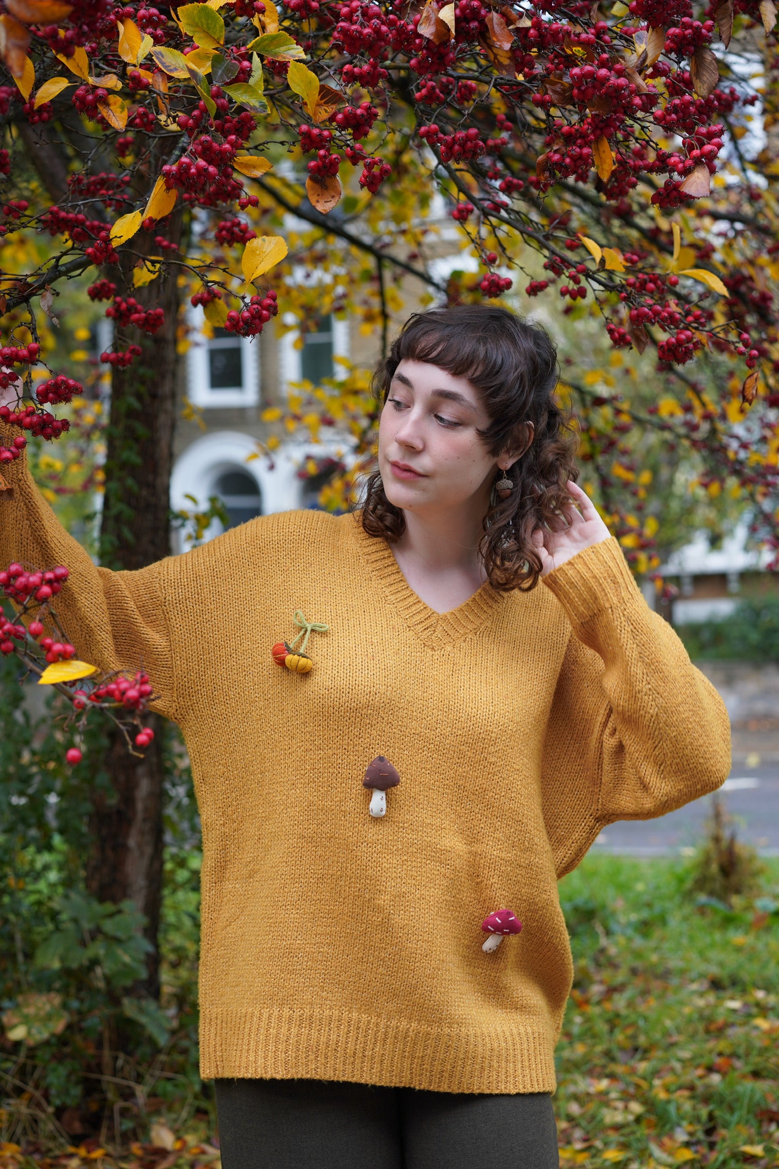 Chestnut Hill Jumper