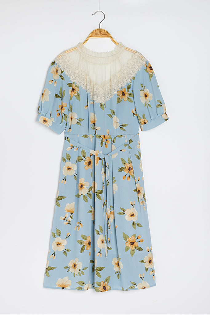 Guell Lace Dress