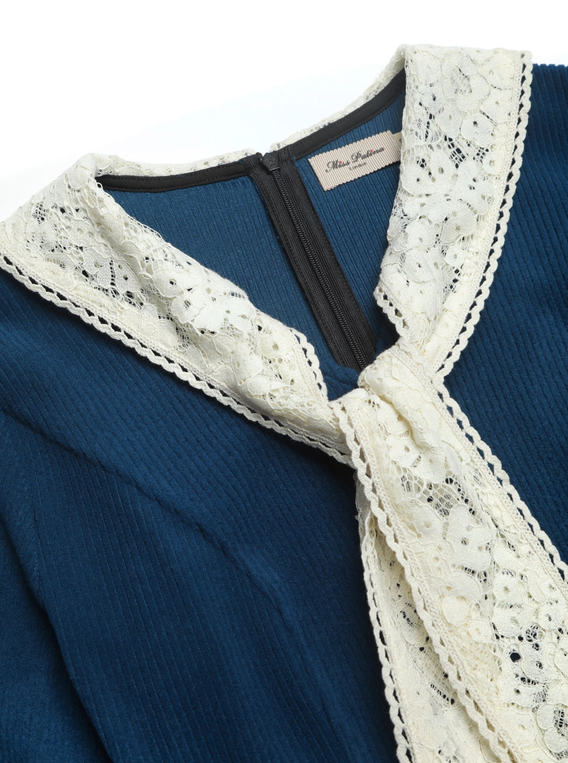 Nightingale Lace Collar Dress