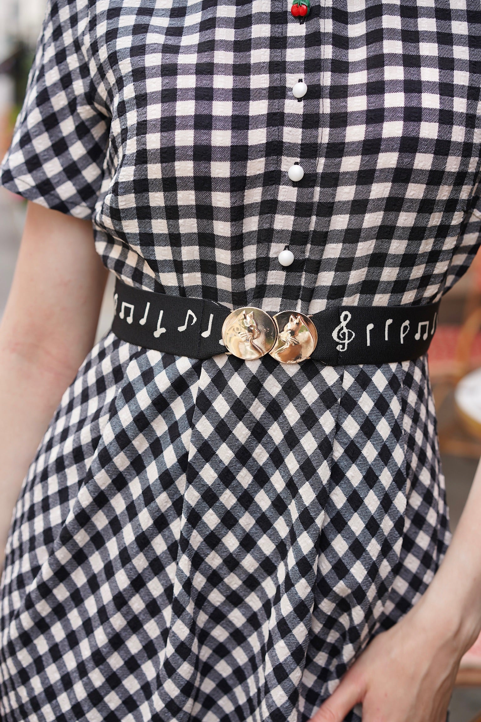 Snacking Kitten Gingham Dress
