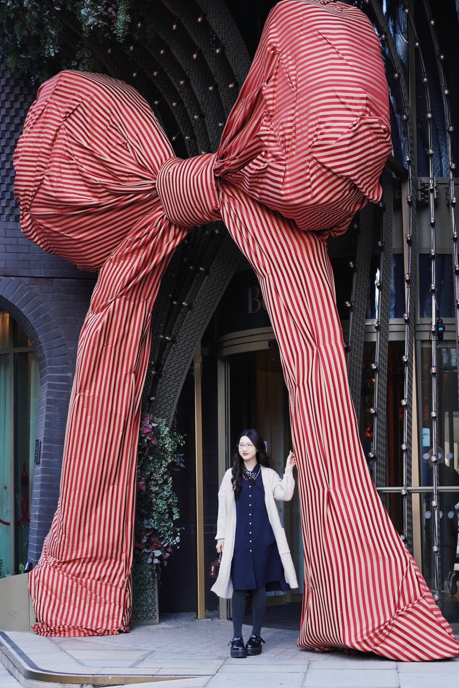 Bowie Cat Shirt Dress (Navy)