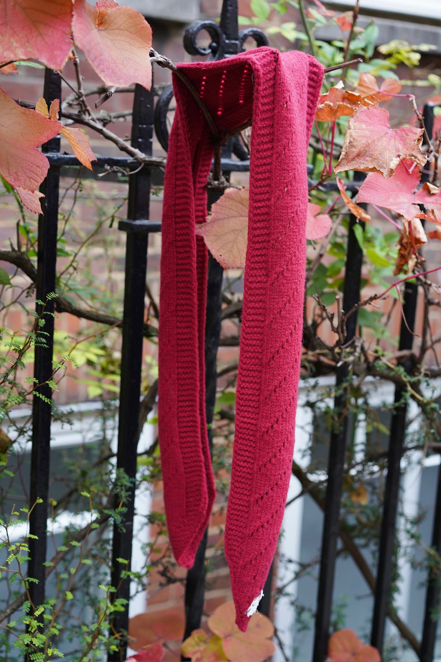CatRollScarf_BerryRed.jpg