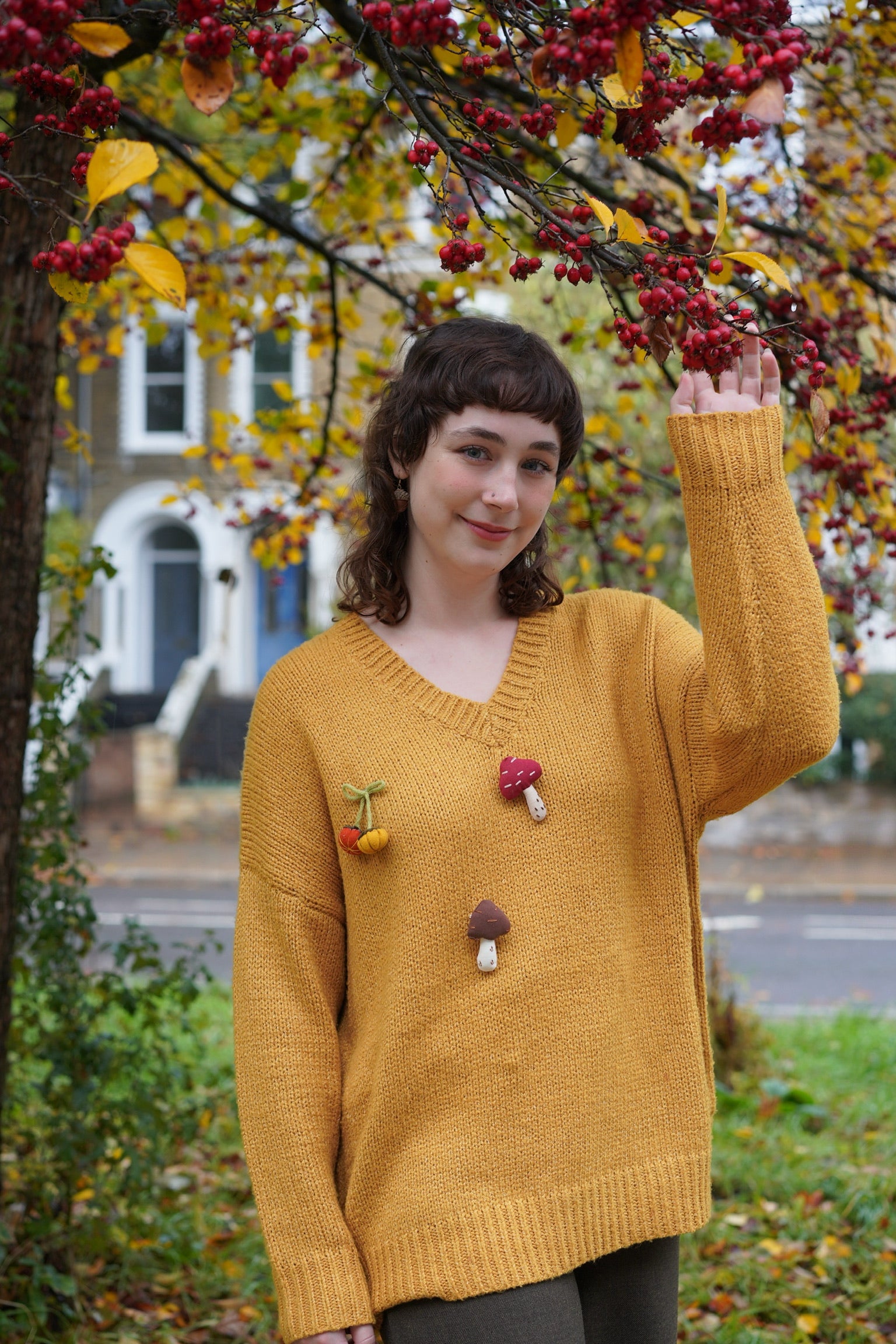 ChestnutHillJumper1.jpg