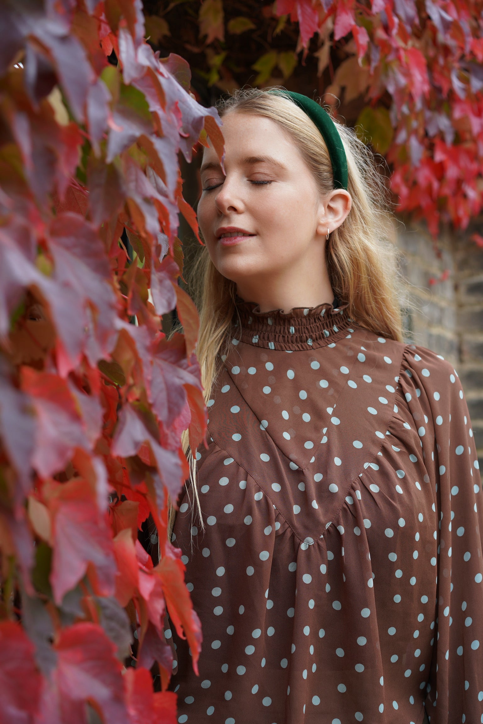Edwardian Revival Blouse (Cocoa Polka)