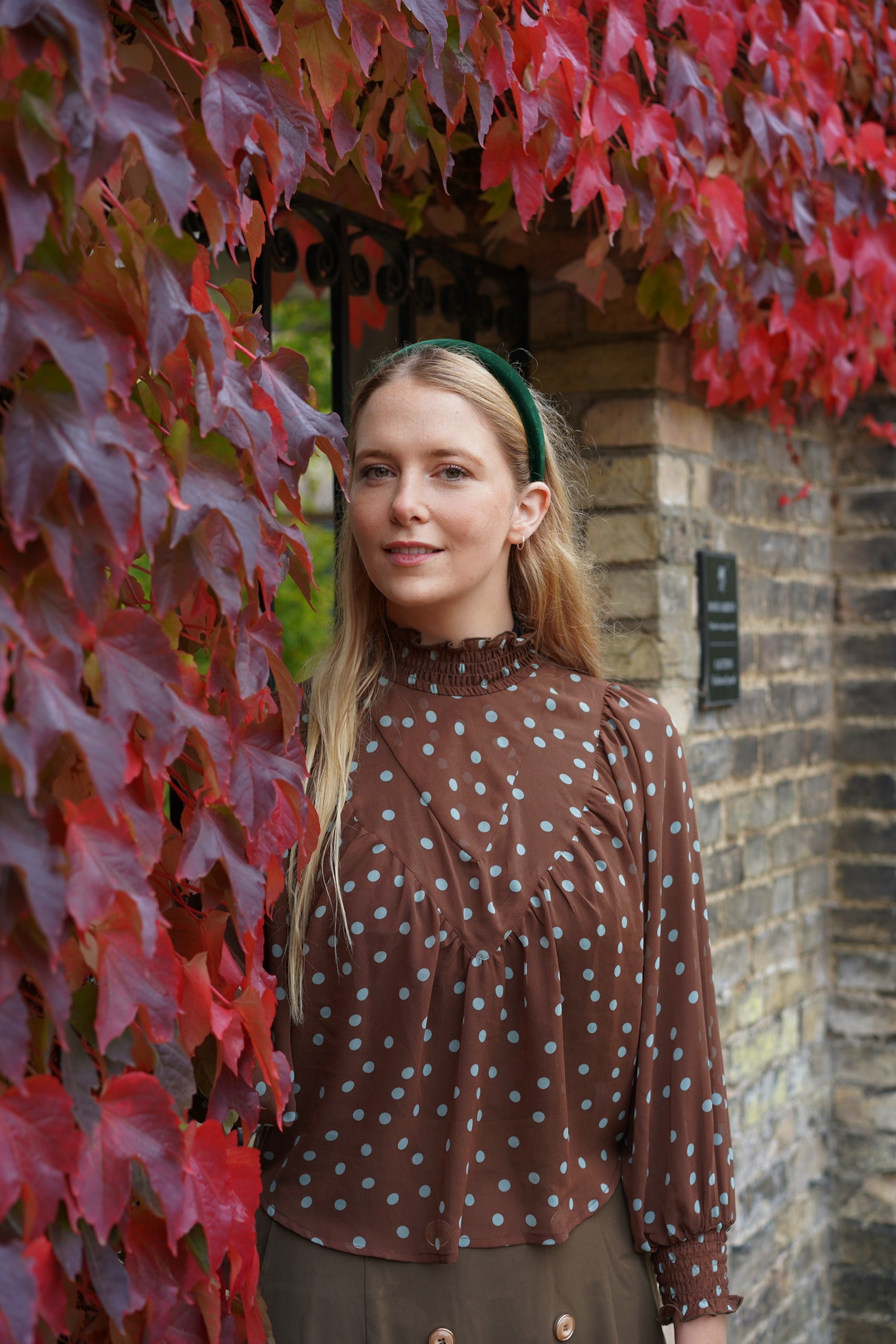 Edwardian Revival Blouse (Cocoa Polka)