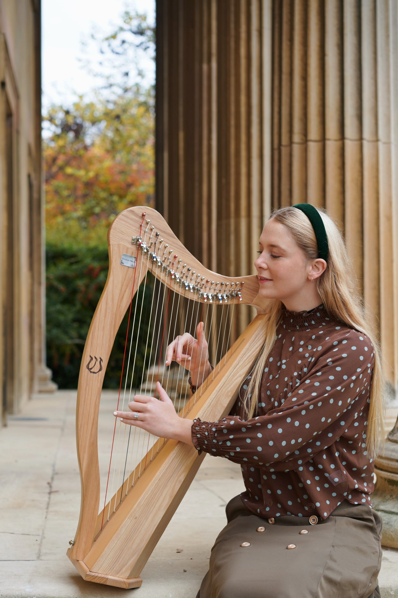 Edwardian Revival Blouse (Cocoa Polka)