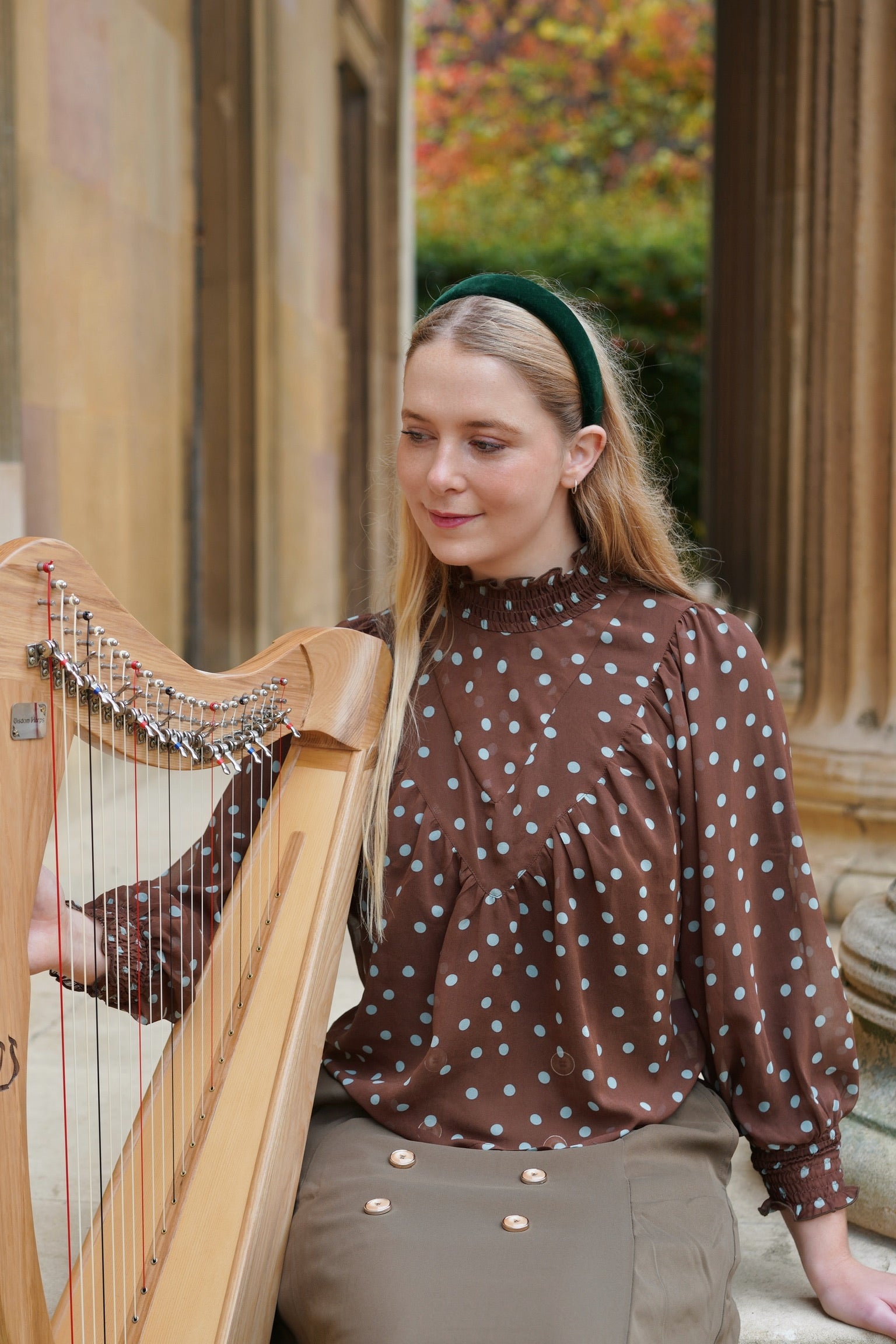 Edwardian Revival Blouse (Cocoa Polka)