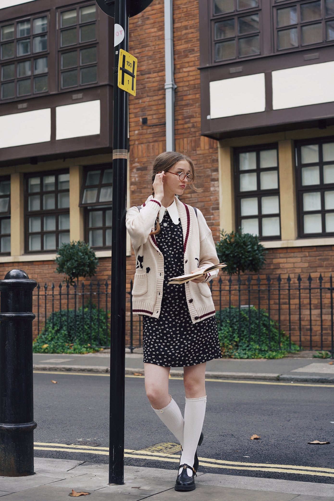 Ditsy Daisy Dress