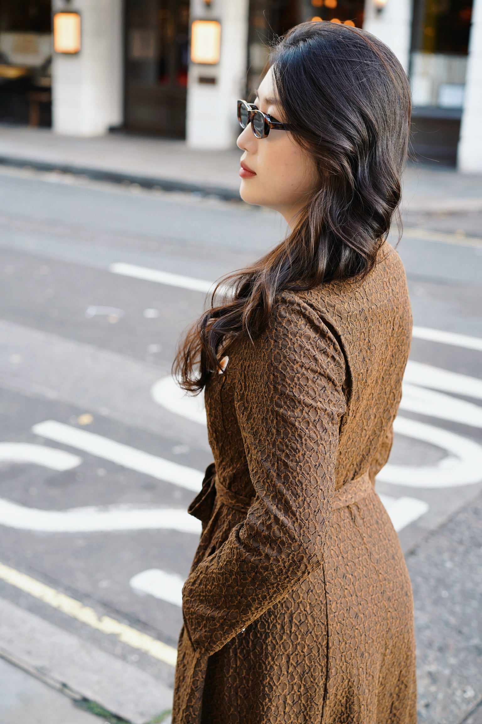 Squirrel Expedition Coat Dress