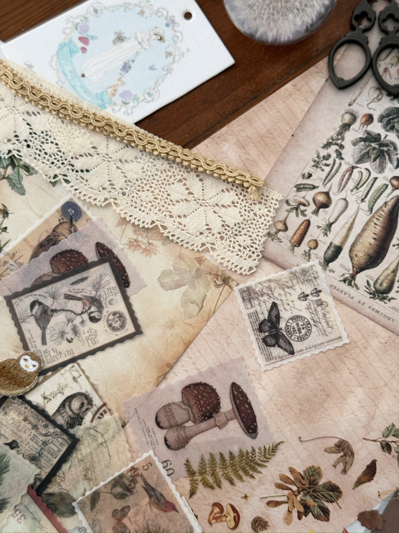 Spring & Woodland Mood Journaling Pack