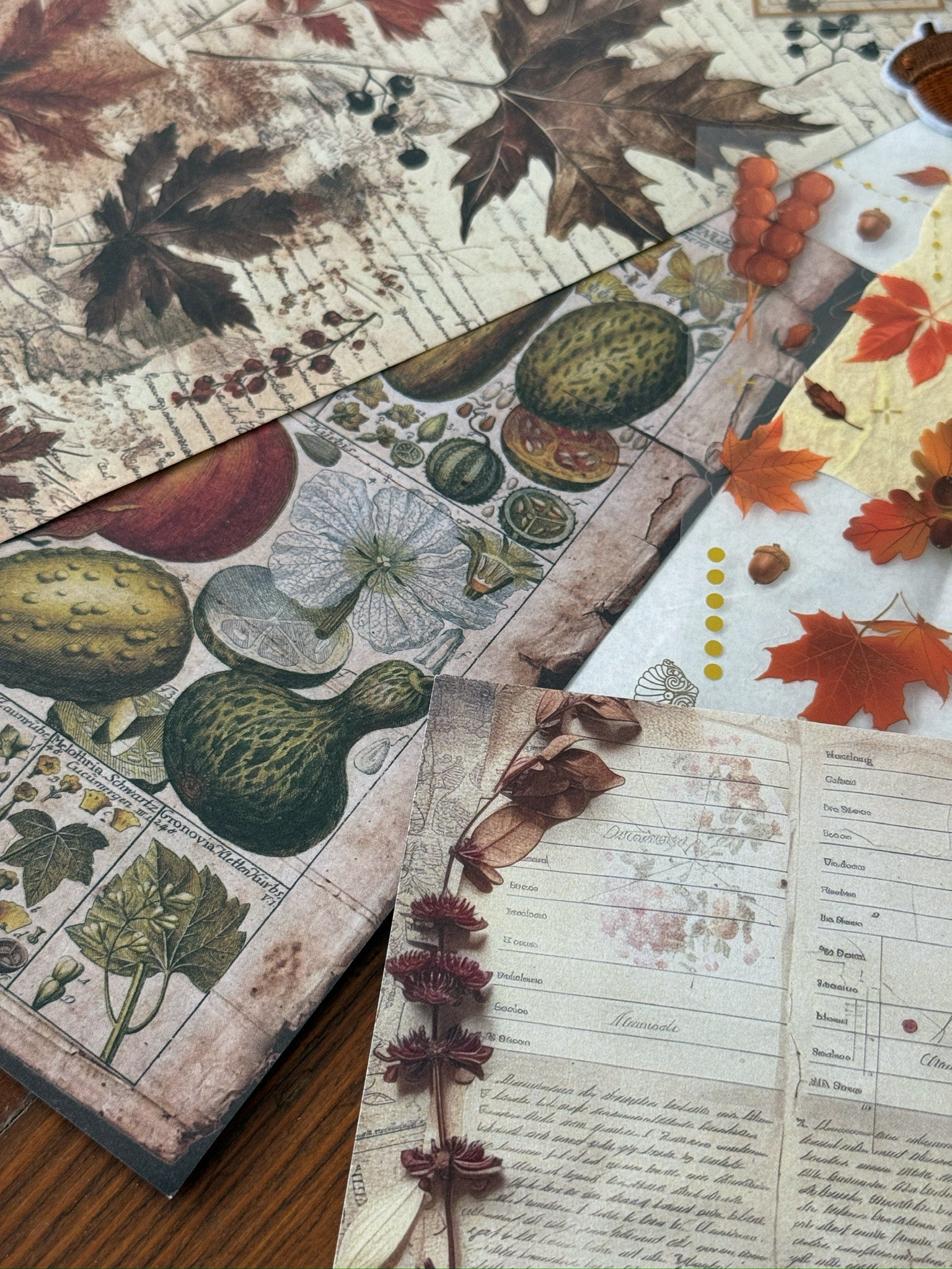 Spring & Woodland Mood Journaling Pack